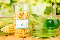 Blaen Y Cwm biofuel availability